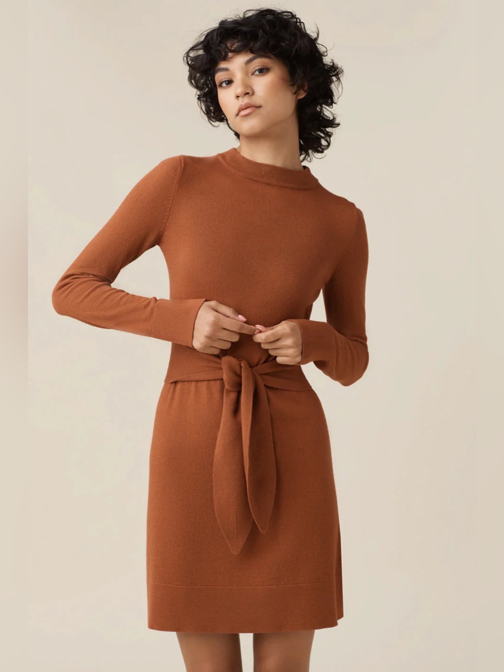 Vetta Turtleneck / mockneck convertible dress